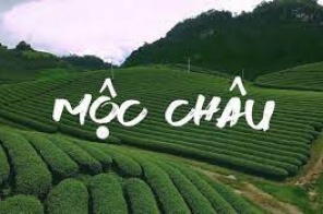 Tour Hà Nội - Mộc Châu 2N1Đ 