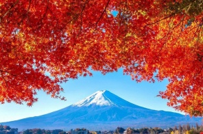 CUNG ĐƯỜNG VÀNG NHẬT BẢN - NGẮM LÁ VÀNG LÁ ĐỎ