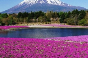 NHẬT BẢN CHÀO HÈ: OSAKA - KOBE - KYOTO - NÚI PHÚ SỸ - TOKYO 