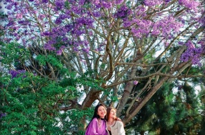 CÔN MINH MÙA PHƯỢNG TÍM