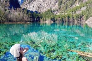 THÀNH ĐÔ - CỬU TRẠI CÂU - CÔNG VIÊN GẤU TRÚC