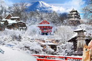 TRƯỢT TUYẾT MÙA ĐÔNG TẠI  HOKKAIDO NHẬT  11.1.2024 : TOKYO – ASAHIKAWA – SAPPORO – OTARU