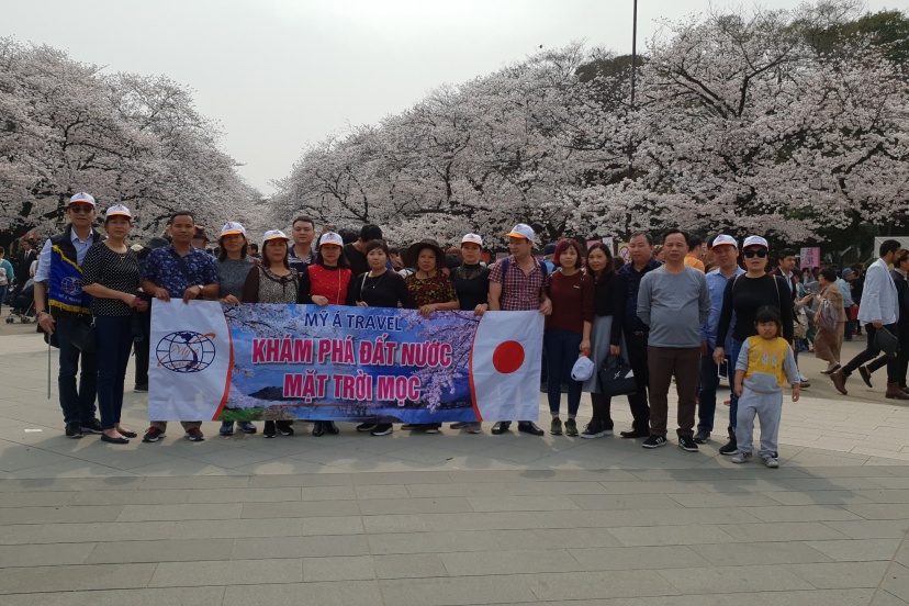 NHẬT BẢN MÙA ANH ĐÀO NĂM 2023 ĐÁNG ĐI MỘT LẦN TRONG ĐỜI 