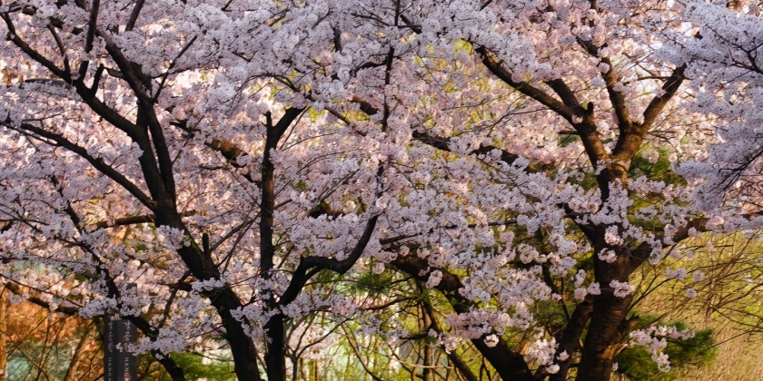 04cfd30508634c5980500f8c6cb7d6fa~tplv-dy-lqen-new_1440_2160_q80