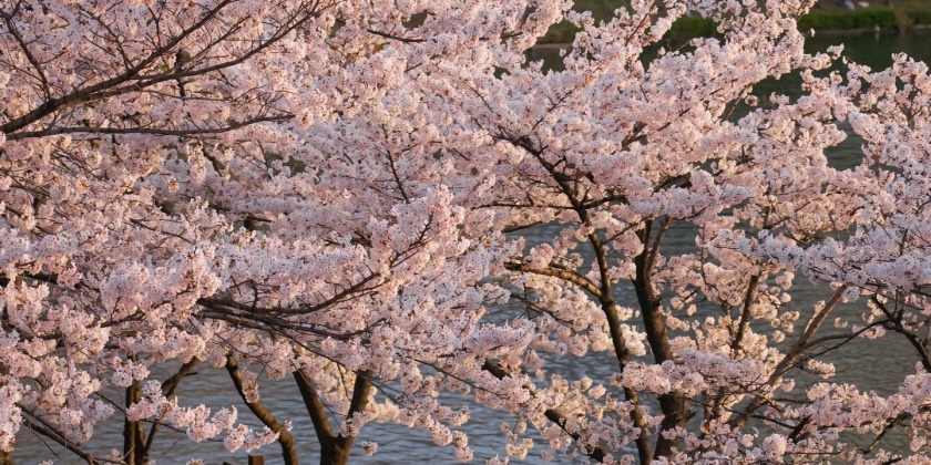 faf80c8c9bbe43a982051901ac6f2c51~tplv-dy-lqen-new_1440_2160_q80