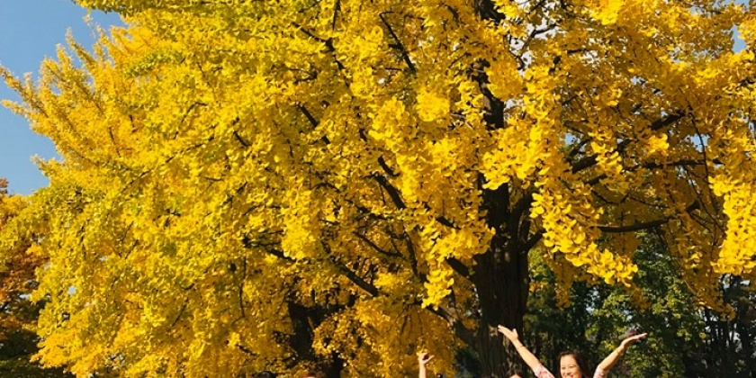 67806606_2178531149105056_8766186155608637440_n