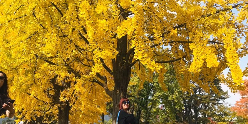 69278431_1292275084273293_1602579751292108800_n