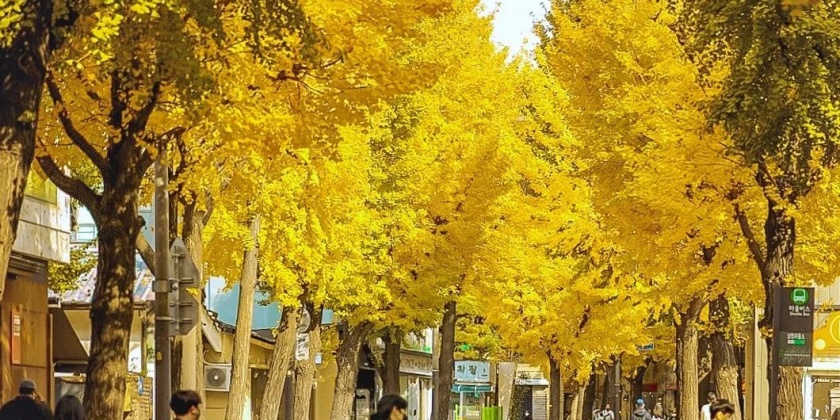 z4838173381598_929c7a9178968f466816fde324832b76