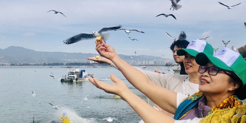 z4944095208107_0008985a748db43e9cc0934d729e5145