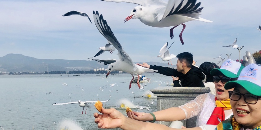 z4944095924997_56147d1ff10763d215777bd756a31b58