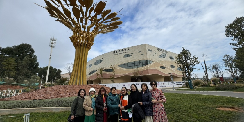 z4950490366515_fa1c7ad59e723a52f690d6335e58698d