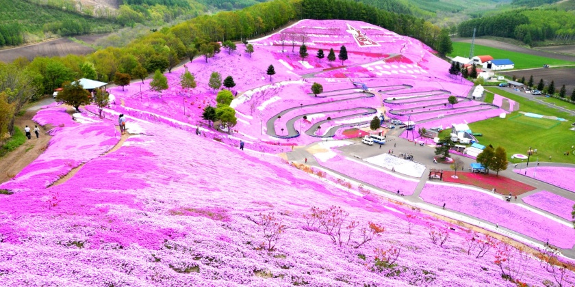 du-lich-hokkaido-noi-co-mua-he-dep-nhat-1