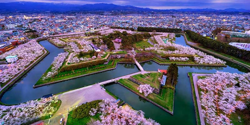 ec870fd3-88ba-4729-809b-c337c8e29028-1