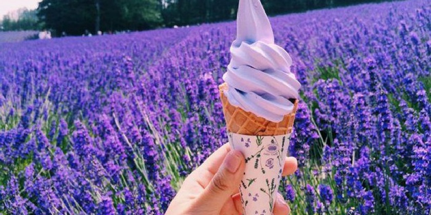 photo-1-16855007055511502652266