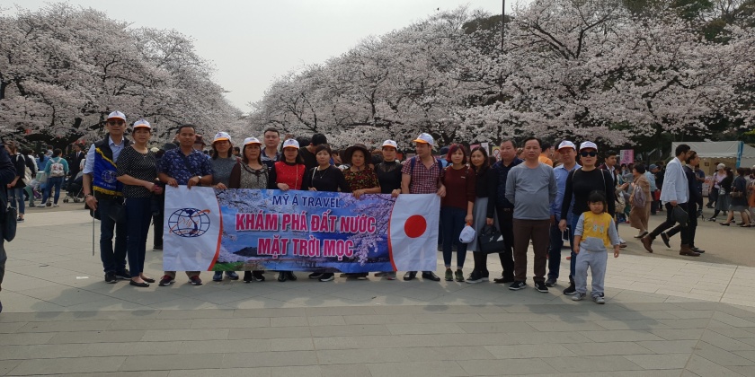 6a9564a3dcc0329e6bd1