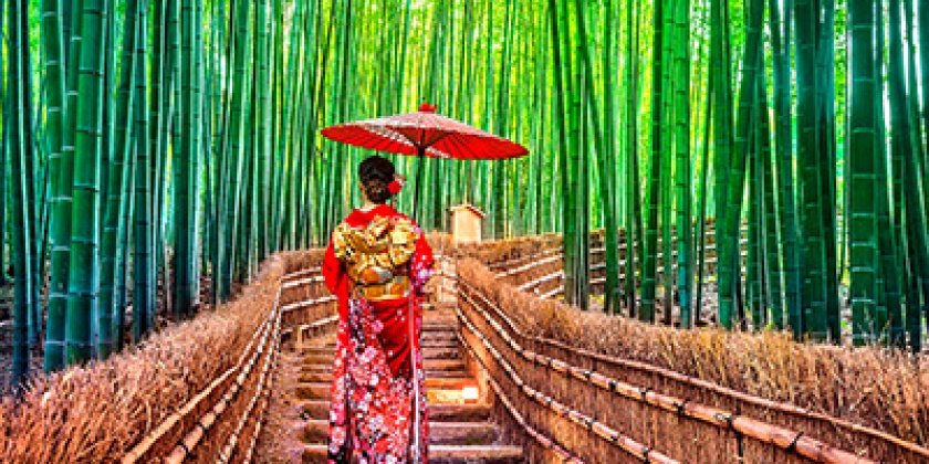 rung-tre-Sagano-du-lich-nhat-ban-du-lich-viet