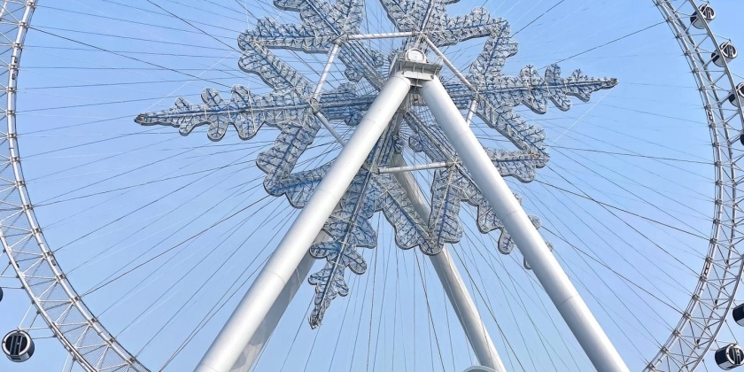 TikVideo.app_7318247586161265954_6