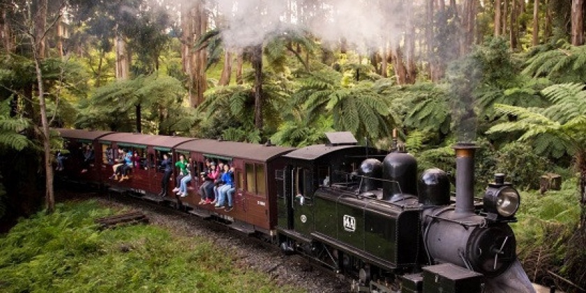 Cong-vien-quoc-gia-dandenong-ranges-anh1