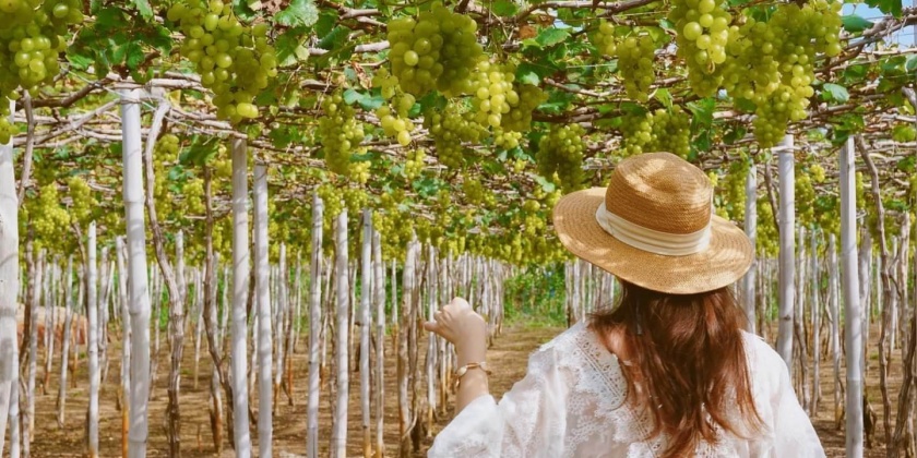 vuon-nho-ninh-thuan-02