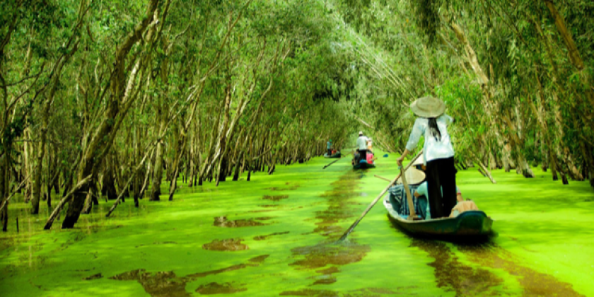 Du lịch sông nước miền Tây